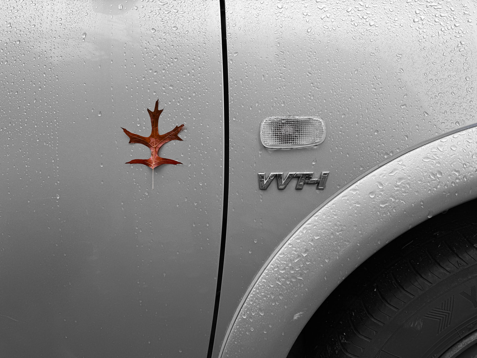 Water droplets glisten on a silver car hood beside a stylized maple leaf emblem and the text VTAI.