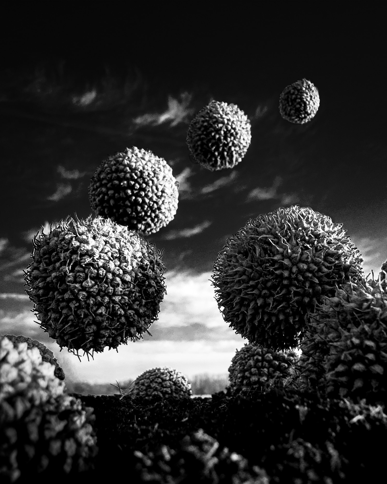 Many spherical, textured cells with spiky protrusions are scattered against a dark background.