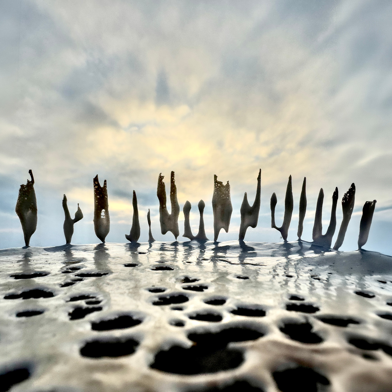 Weathered driftwood fragments emerge from shallow, choppy water under a cloudy sky.
