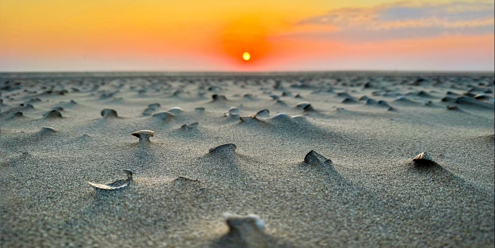 Sand dunes stretch across a flat landscape under a dramatic sunset sky.