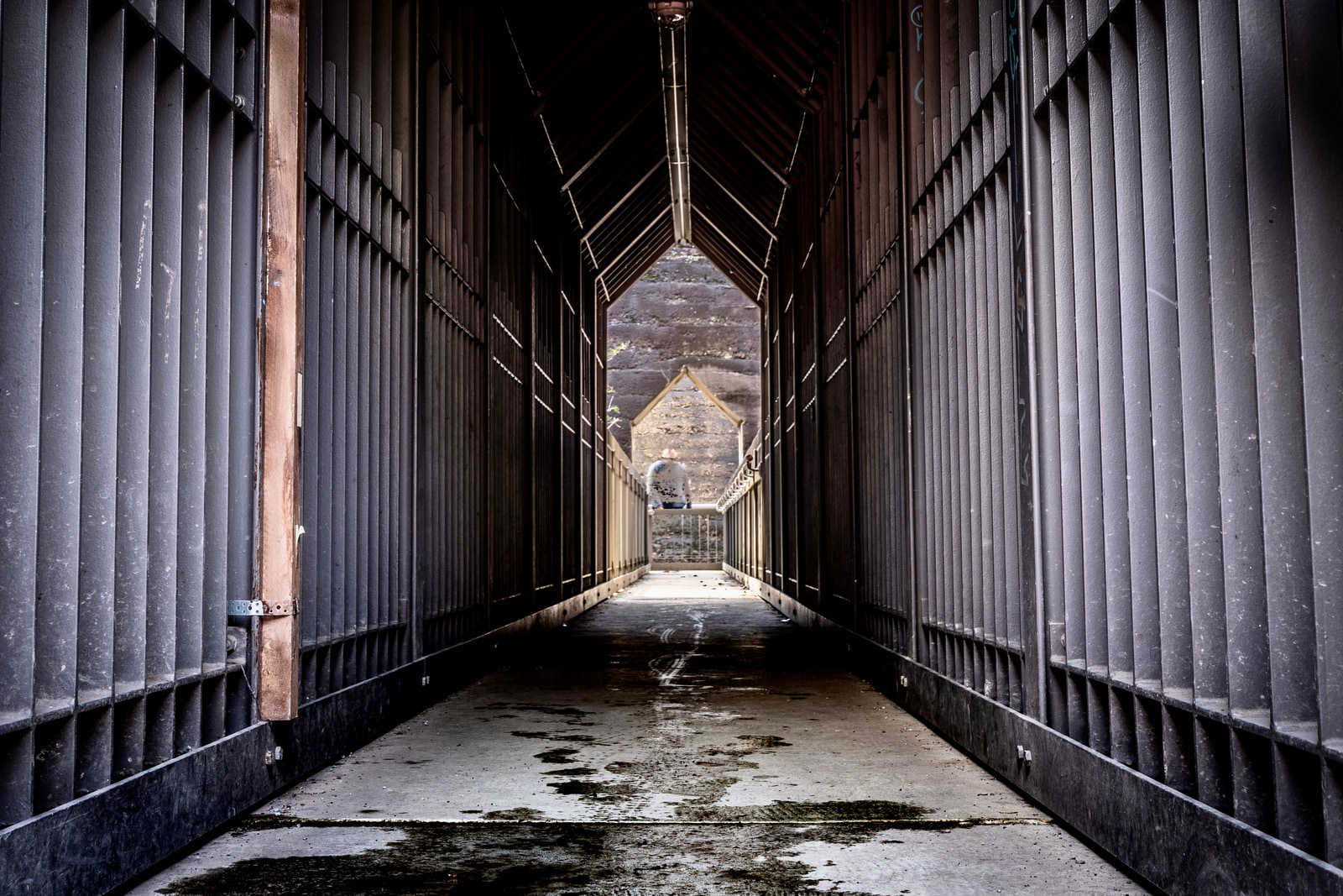 A long, narrow wooden corridor leads to a distant view of a small building through an open doorway.