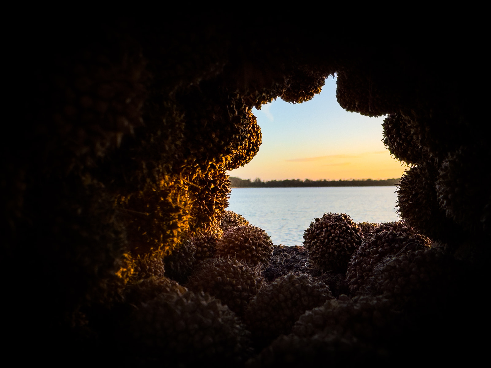 A view through a natural opening shows a body of water at sunset, with textured rock formations framing the scene.