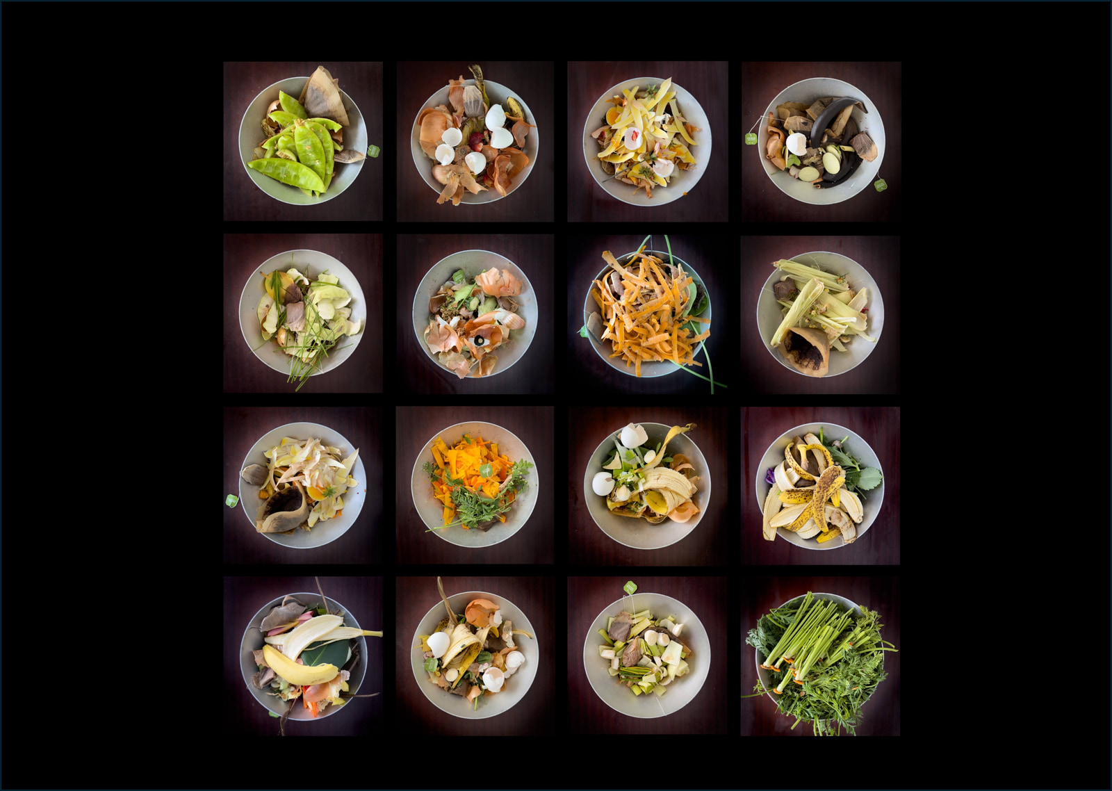 Twelve small bowls arranged in a grid, each containing a different assortment of food scraps and natural ingredients, displayed on a dark wooden surface.
