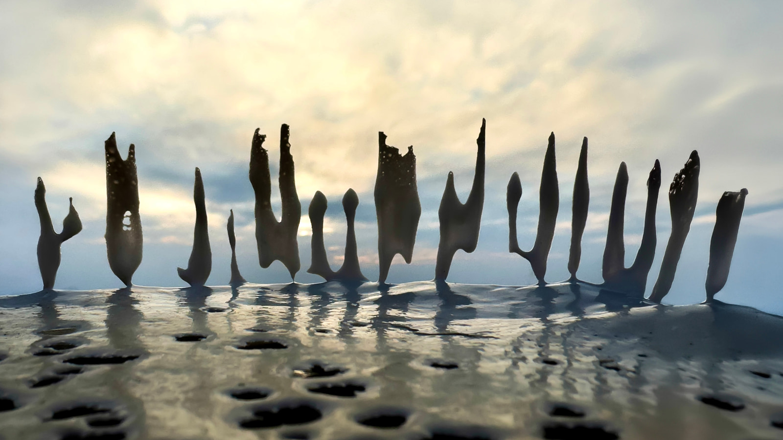 Eroded wooden posts protrude from a calm body of water under a cloudy sky.