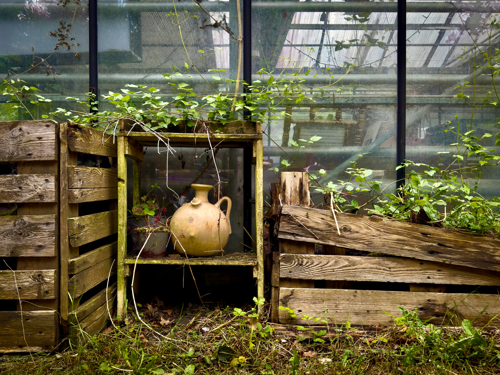 A ceramic vase sits on a wooden shelf surrounded by green plants in a greenhouse.