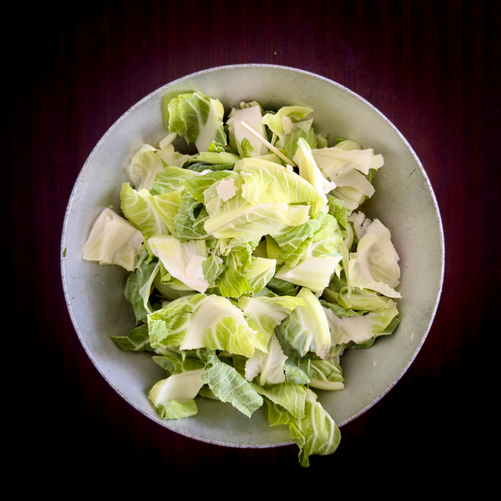 Shredded green cabbage in a metal bowl on a dark surface.